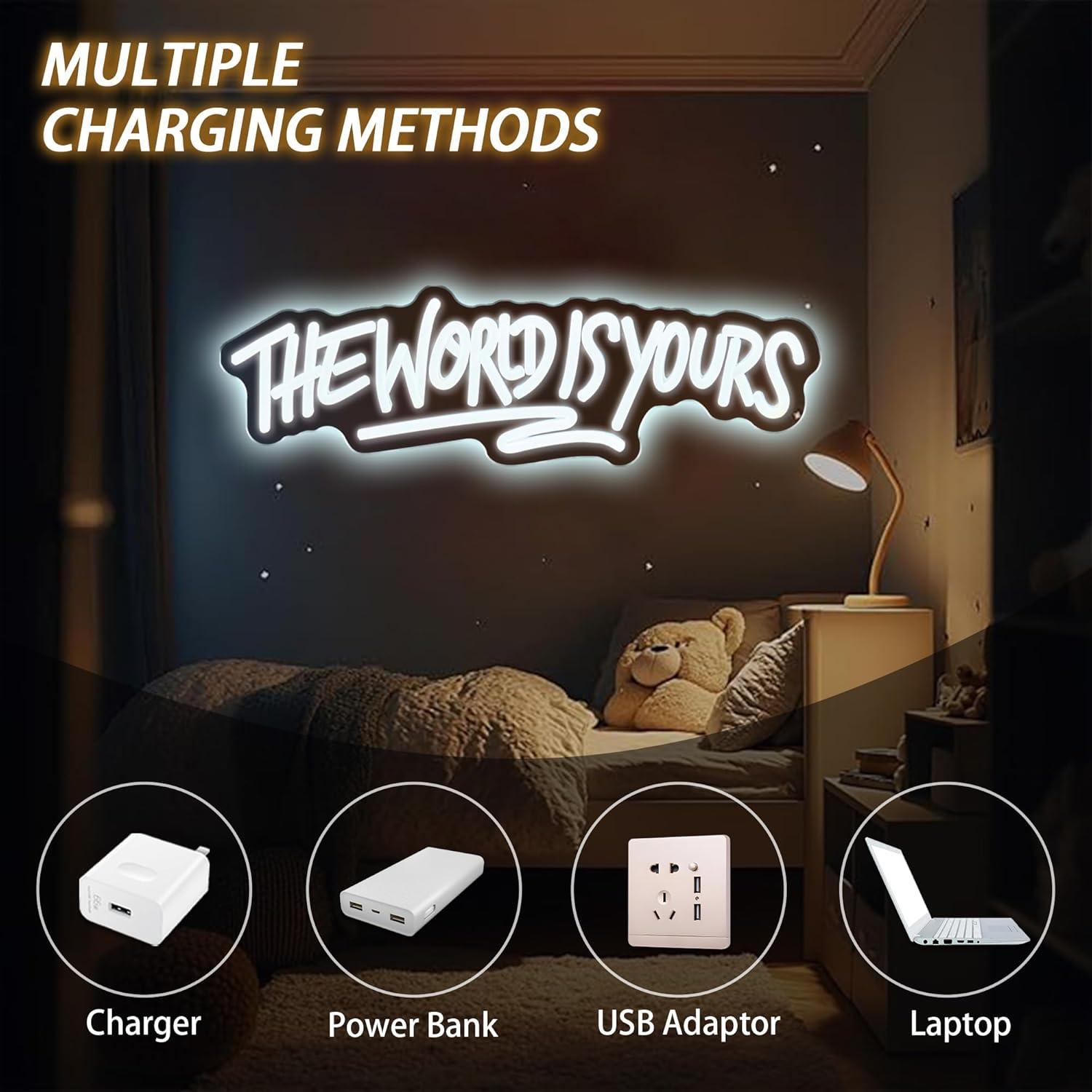 세상은 당신의 것 네온사인 USB 전원 디밍 가능 LE - Lighting World Decor 리뷰 및 가격